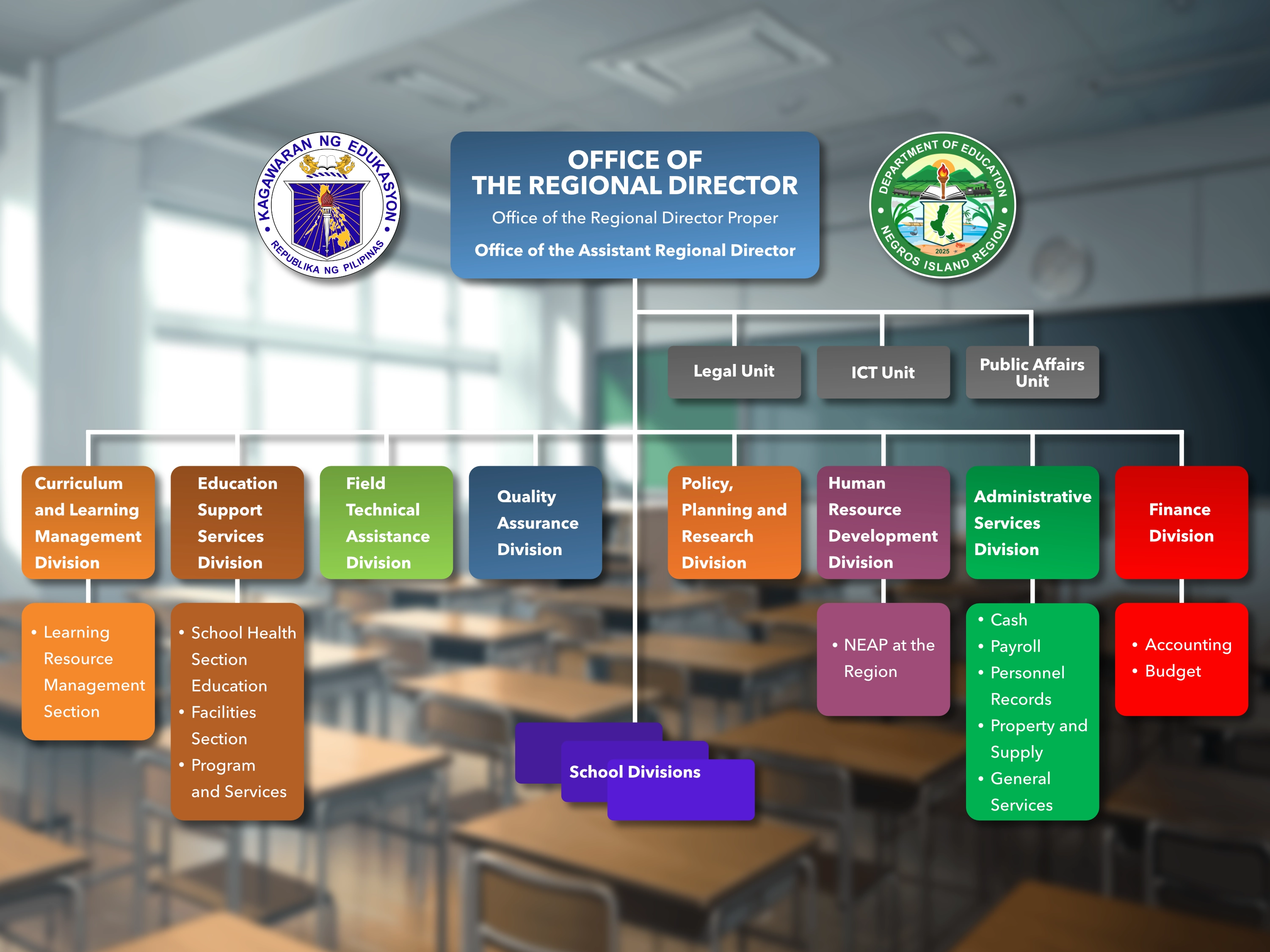 NIR Organization Chart
